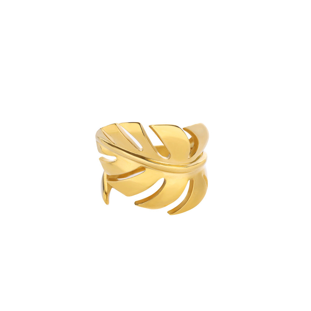 Anillos de acero